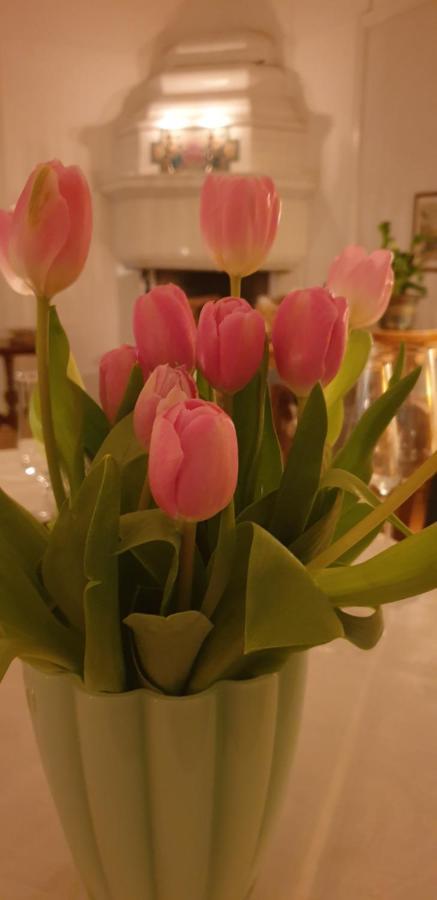Leopold Boutique Hotel エステルスンド エクステリア 写真
